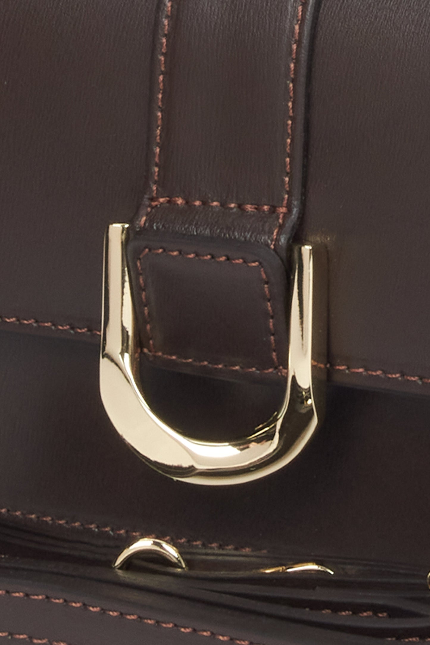 Nahaufnahme der eleganten, goldenen Zierschnalle in D-Form auf dem glatten dunkelbraunen Leder 