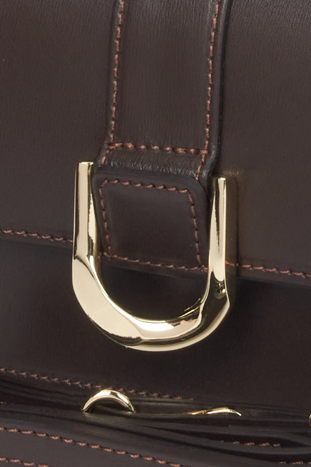 Nahaufnahme der eleganten, goldenen Zierschnalle in D-Form auf dem glatten dunkelbraunen Leder 